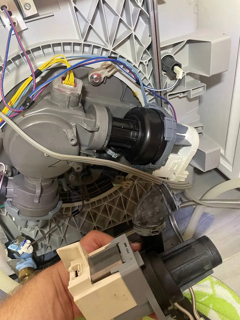 Drain pump replacement in Los Angeles